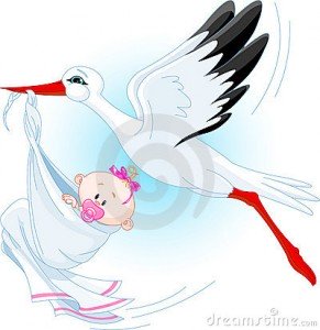stork-baby-9817617